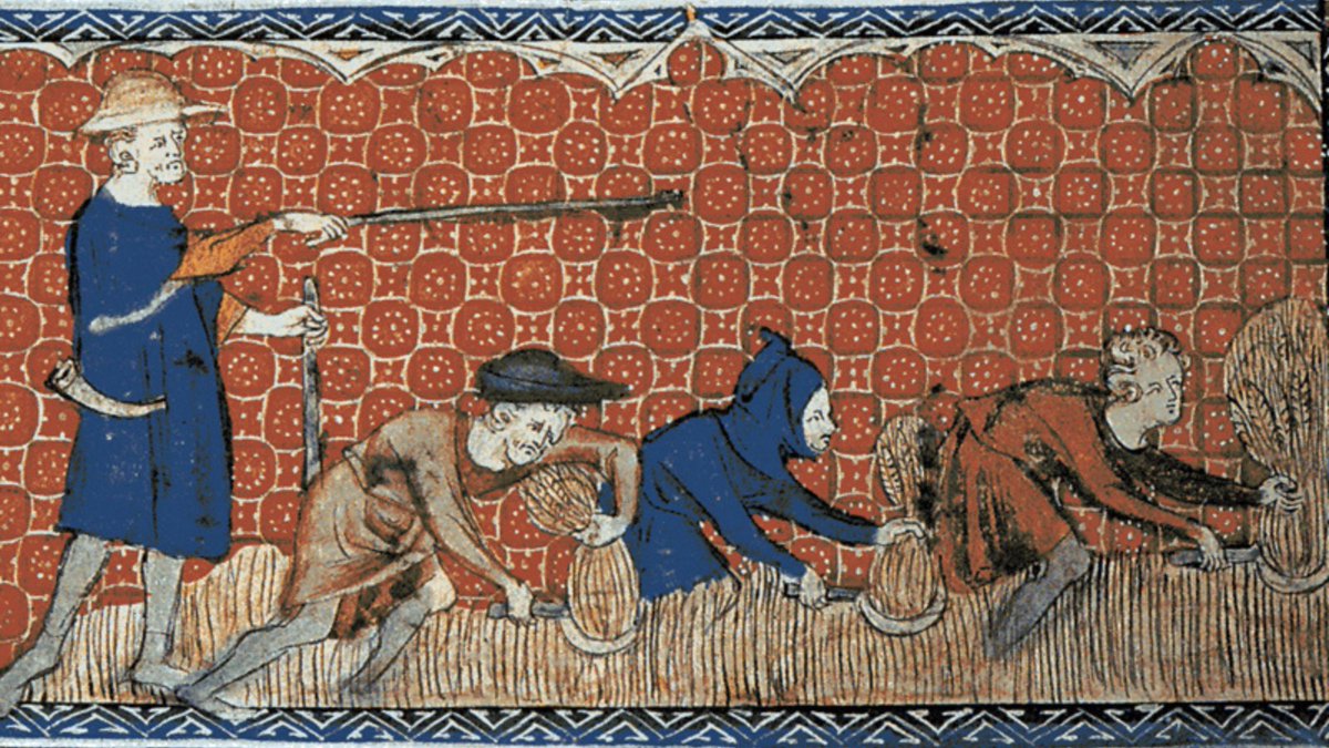 durham_uni's tweet photo. A heatwave. Water shortages. Crop failures. 
It sounds familiar, but this was England in the 13th century. 
Dr Alex Brown of @durham_history &amp; @IMEMSDurham explores what medieval extremes can teach us about today's climate challenges: 🔗➡️https://t.co/W9qfmsJhQJ
@ConversationUK https://t.co/V3j5PbZ0Jc