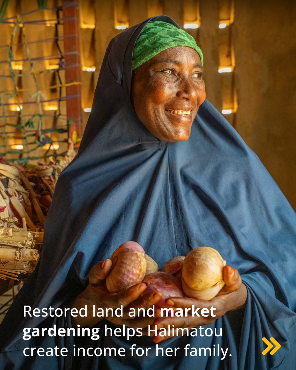 ShareTheMealorg's tweet photo. #BeyondTheMeals 🌱 #Niger

Since 2014, @WFP and its partners have supported vulnerable communities through an integrated #resilience approach, helping people with #food security, #malnutrition land degradation and #climate shocks. 💛 

#ZeroHunger | @WFP_Africa https://t.co/82JmqzXI86