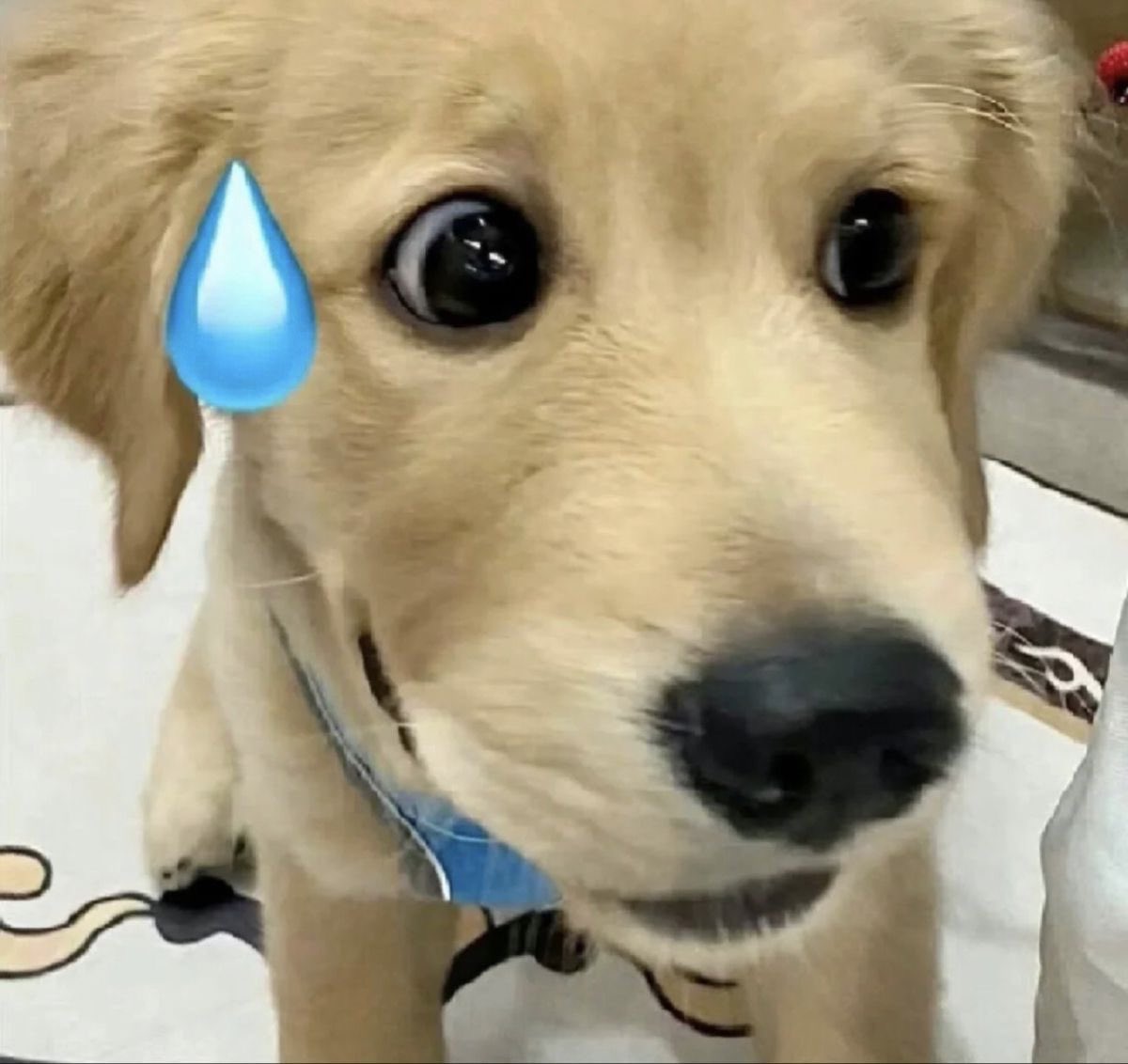 babipuppykiddo's tweet photo. 555555555555555555555555555555555
555555555555555555555555555555555
555555555555555555555555555555555

#PEEMWASU #BUS_LIGHTASONE_D1 https://t.co/rMNP552eyU