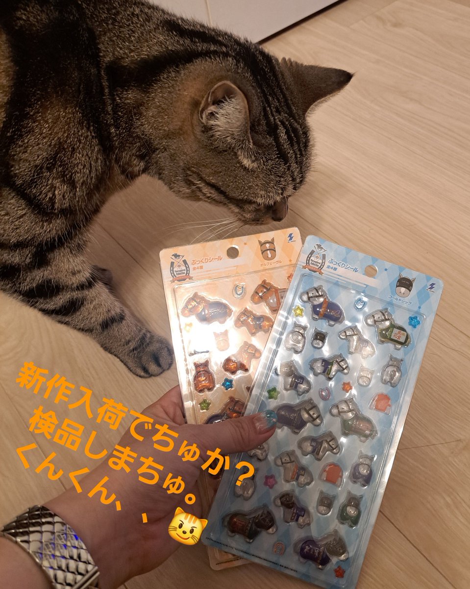 actress20150820's tweet photo. 白い悪魔とオルフェ兄さん
かわにい♥️

#サラブレッドコレクションぷっくりシール
#猫好きさんと繋がりたい 
#猫のいる暮らし
#ゴールドシップ
#オルフェーブル https://t.co/YRi5DyqIbX