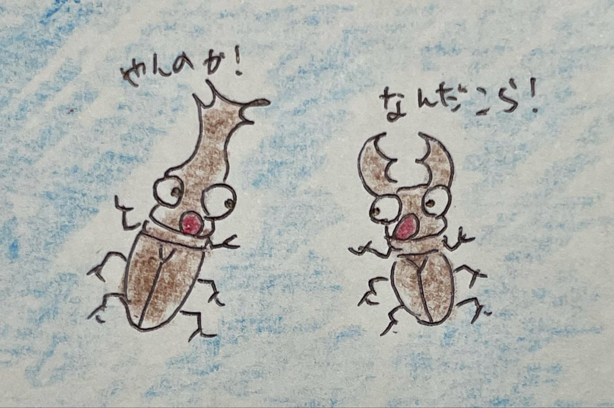 はちみつぼーや tweet media