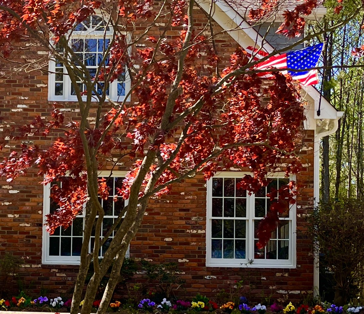 jodibingeorgia's tweet photo. There are many flags flying on my street. I, however, am the only person who had a Trump sign in my front yard. https://t.co/Erj1SMkYvn