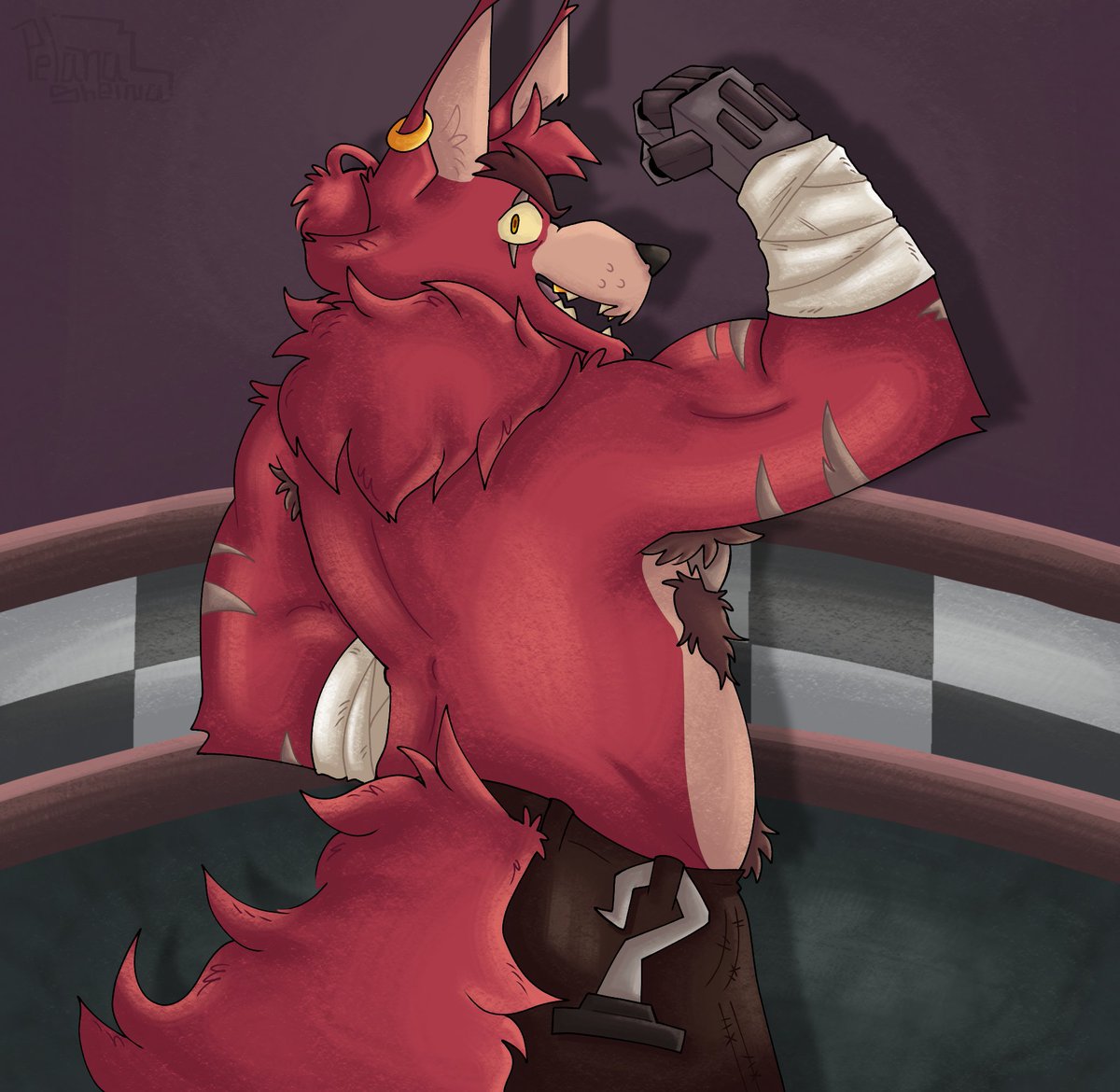 PelanaSheina's tweet photo. Muscular fox https://t.co/2aoTpp5aZT