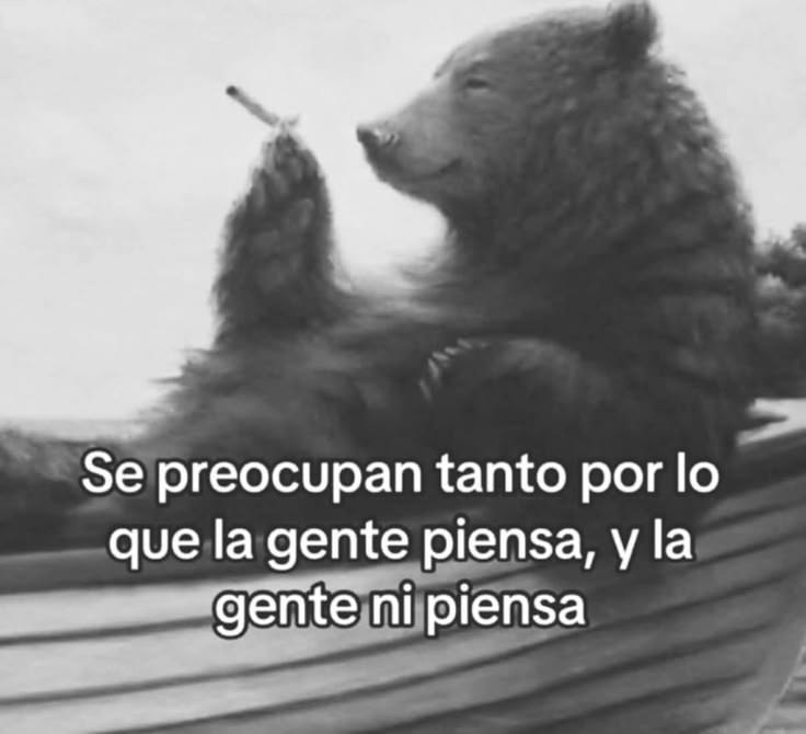 eldiariodedross's tweet photo. 👇 https://t.co/KADU4jyaDJ