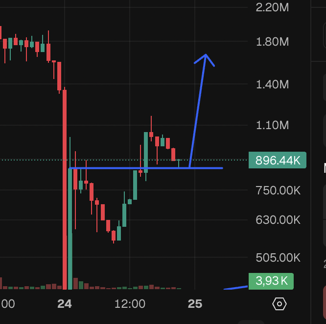 Crypto_peet's tweet photo. $slippy recovery process is going well, chads buying the supply from weak hands... remember.. we are only few days in to the cult and the cult is becoming strong asf... dont fumble this gift https://t.co/ggpxn060J1