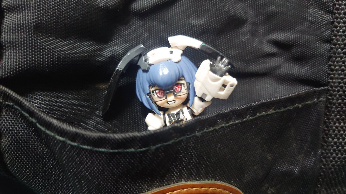AKKZTabineko's tweet photo. 明日の準備完了！
何とか大きいボストンバッグ一つの軽い荷物で収まった✨️（？）
では皆様、明日お会いしましょう✨️

ティフ「会場で会おうねぇ✨️」 https://t.co/XLl7BeV0ze
