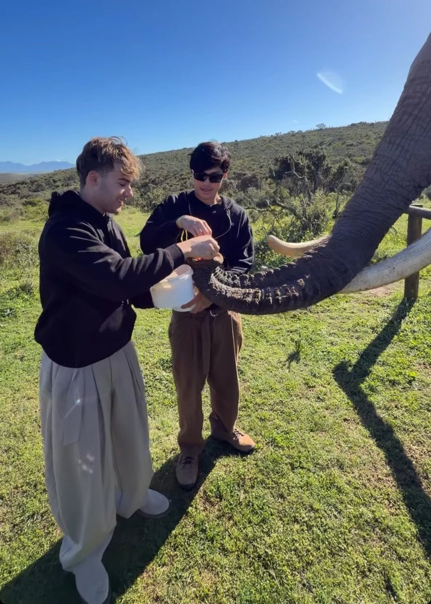 wecaian's tweet photo. Quem iria imaginar ver os dois alimentando um elefante? Cada dia mais uma surpresa kkkkk https://t.co/tBWYnnSlDW