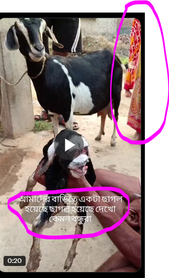 QJ tweet media