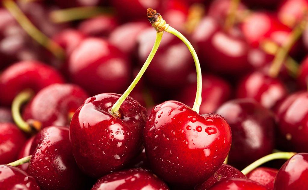 valenciaregion's tweet photo. Did you know Alicante Mountain Cherries have Protected Geographical Indication status? 🍒⛰️

Traditionally grown in our valleys, they are prized for their distinctive flavour, natural sweetness and exceptional quality. Local produce at its best!

#MediterreanAttitude #LExquisitMediterrani