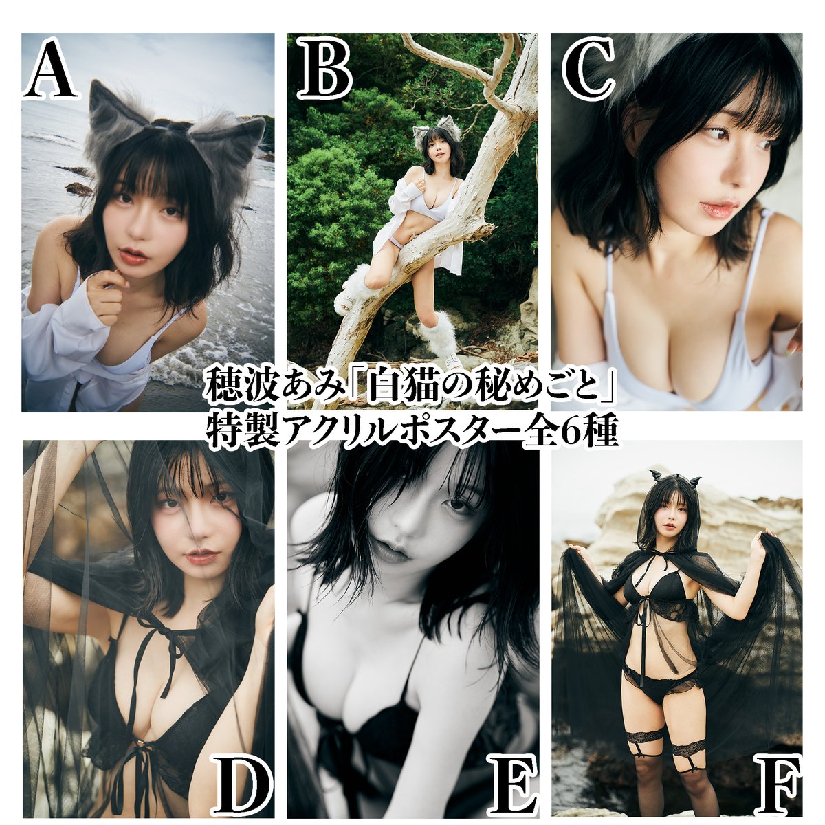 cyzographic's tweet photo. 実は私が一番楽しみかも。

穂波あみ「白猫の秘めごと」

絵本グラビアお渡し会：
https://t.co/uA84qfdhht https://t.co/oE43qhRB2Q