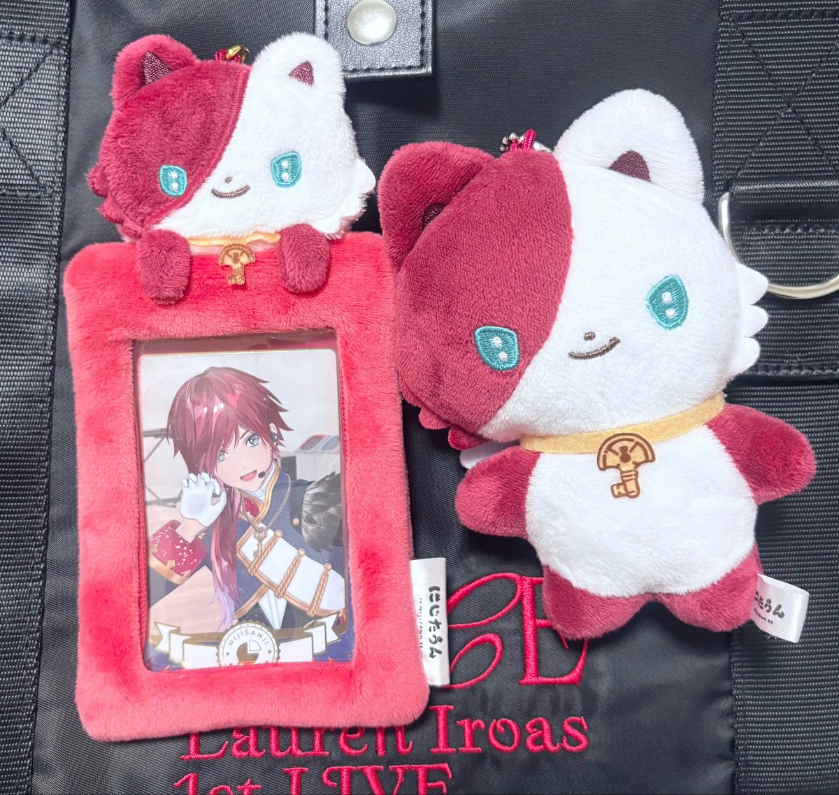 _natsu_ca's tweet photo. わたしのかわいいふわふわﾁｬﾝが届きました https://t.co/Q3tVzxSilA