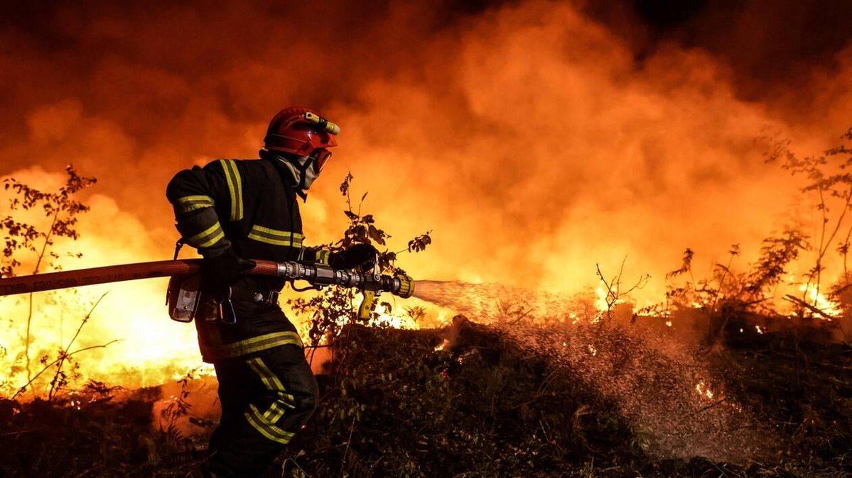 ChanzeChristine's tweet photo. J espere qu il y en a pas qui nous font payer le prix a cause du défilé du 14 juillet avec les Ukrainiens en foutant le feu dans nos foret car je les briserais de mes doigts. La foret les animaux ne peut pas parler moi oui et je parle et me bat pour eux . https://t.co/7tWS58fQzX