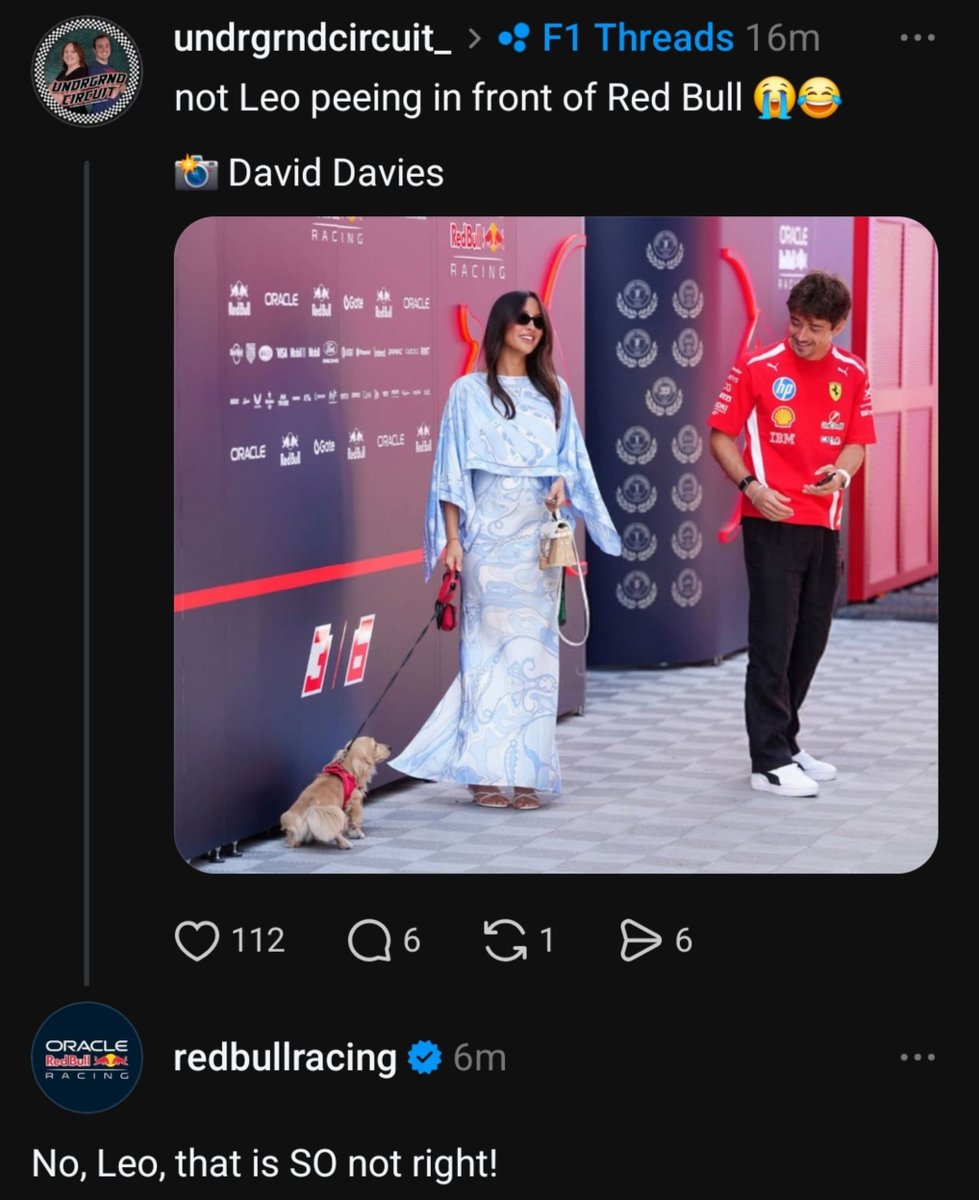 leclercsletters's tweet photo. red bull's reaction 😭 https://t.co/7EER5xvoF9