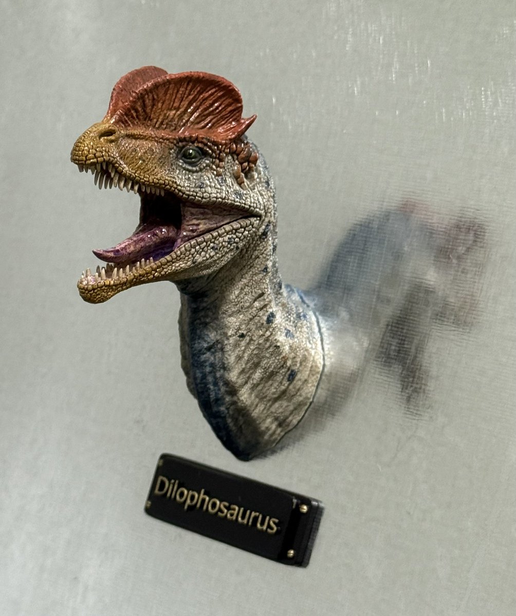 P5rvzJxf1hFZ4VT's tweet photo. 古生物ヘッドマグネットシリーズ

出力品キット
ディロフォサウルス
1,000円

ワンフェス2026Sにて販売させて
頂きます。
よろしくお願い致します。
#WF2026S
#恐竜
#古生物 https://t.co/hXthbFuhjd