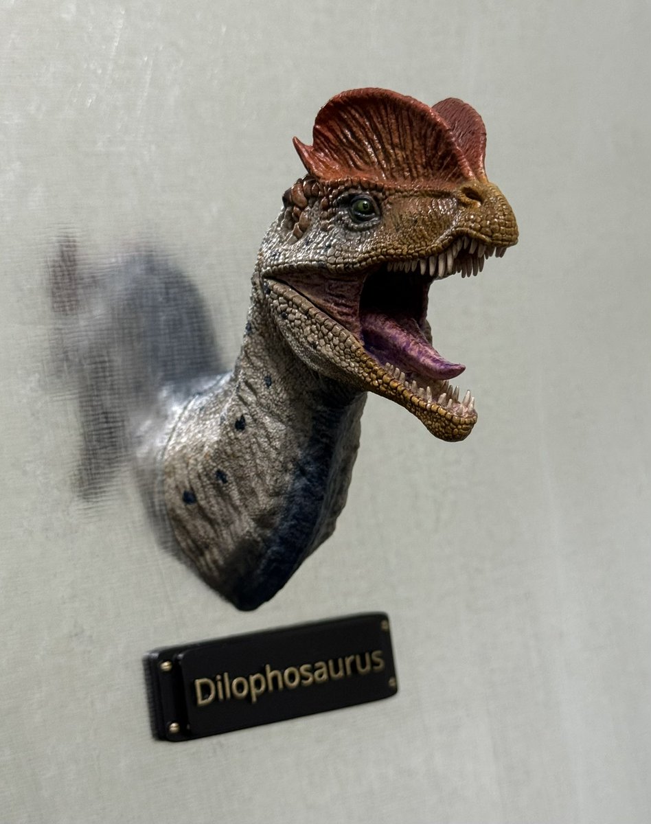 P5rvzJxf1hFZ4VT's tweet photo. 古生物ヘッドマグネットシリーズ

出力品キット
ディロフォサウルス
1,000円

ワンフェス2026Sにて販売させて
頂きます。
よろしくお願い致します。
#WF2026S
#恐竜
#古生物 https://t.co/hXthbFuhjd