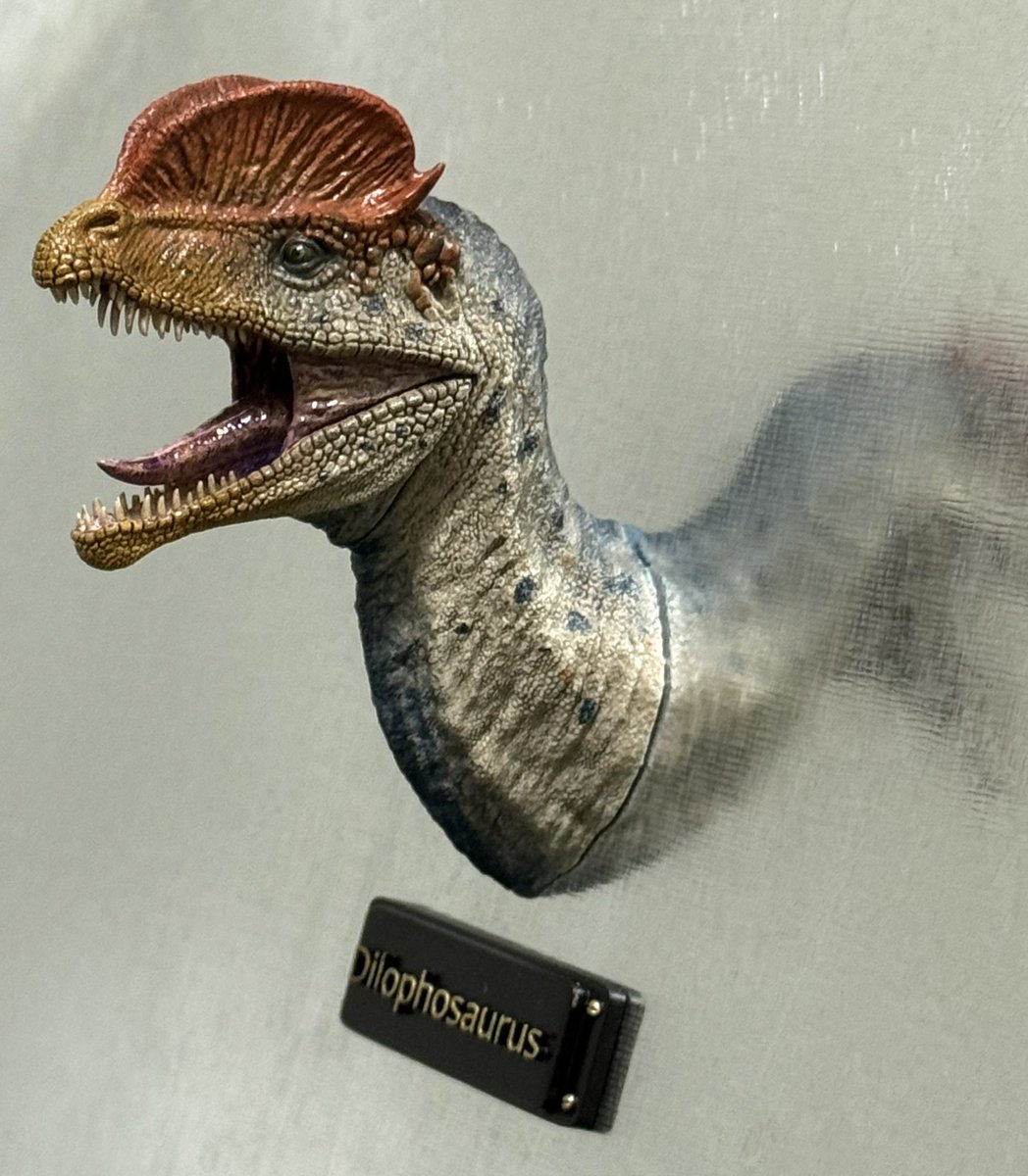 P5rvzJxf1hFZ4VT's tweet photo. 古生物ヘッドマグネットシリーズ

出力品キット
ディロフォサウルス
1,000円

ワンフェス2026Sにて販売させて
頂きます。
よろしくお願い致します。
#WF2026S
#恐竜
#古生物 https://t.co/hXthbFuhjd