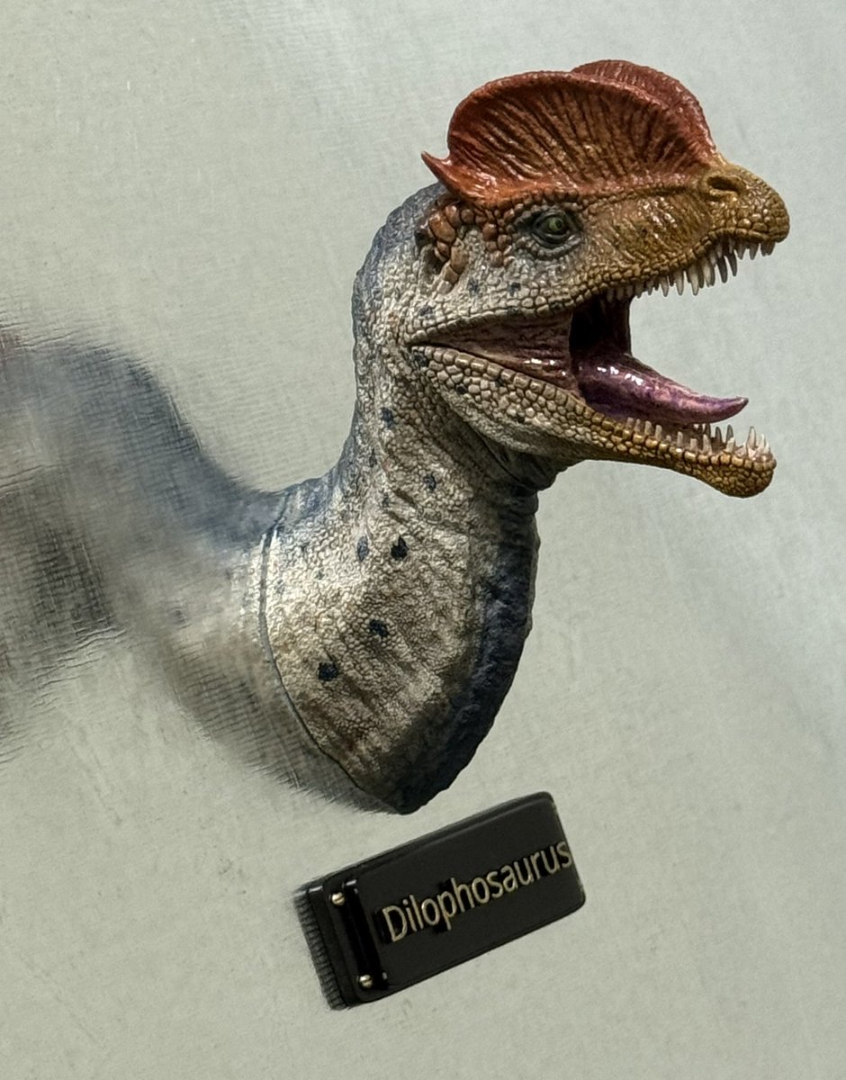 P5rvzJxf1hFZ4VT's tweet photo. 古生物ヘッドマグネットシリーズ

出力品キット
ディロフォサウルス
1,000円

ワンフェス2026Sにて販売させて
頂きます。
よろしくお願い致します。
#WF2026S
#恐竜
#古生物 https://t.co/hXthbFuhjd