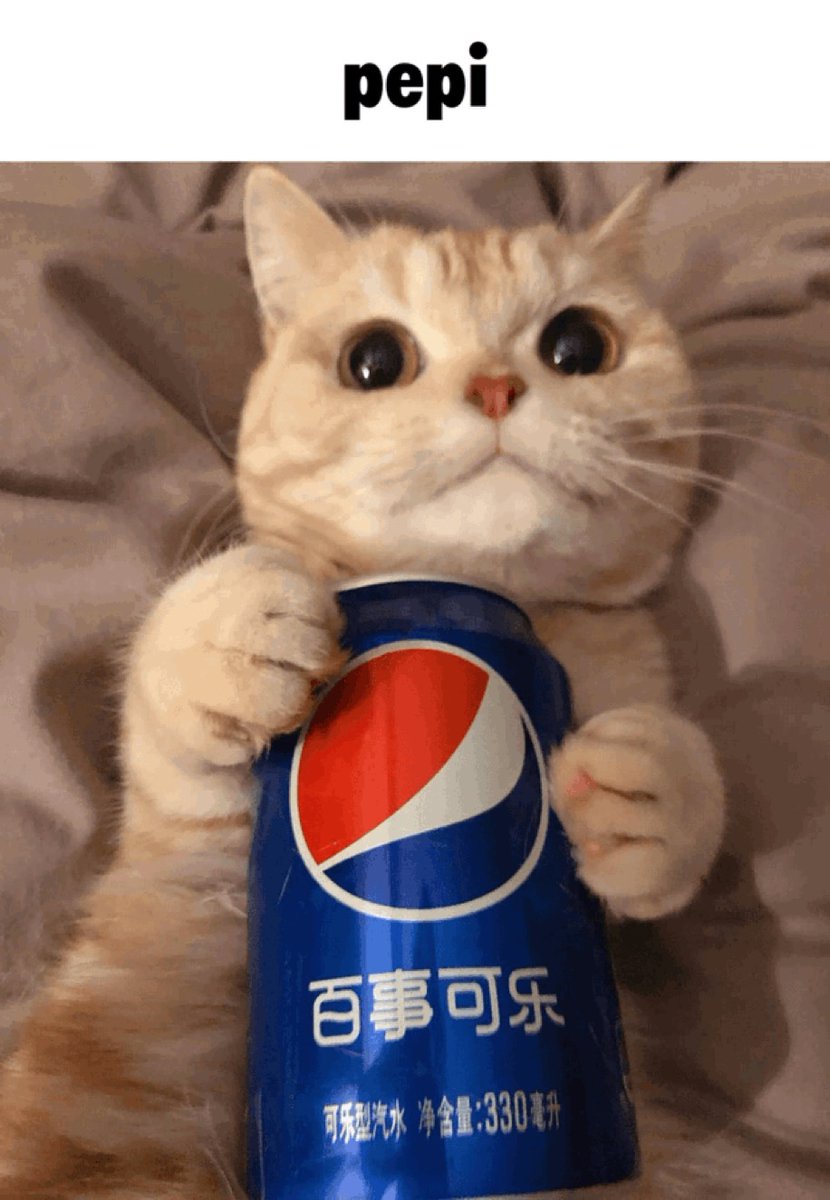 CatPosted's tweet photo. https://t.co/w03bCPf7GG