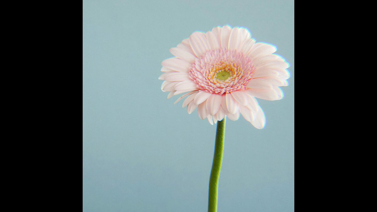 _sorh_'s tweet photo. 【フリートラック/FREE】"Bloom" Boom Bap Hip Hop R&amp;B Chipmunk Soul Common Type Beat

Rhodes Pianoの音色が気持ちいビートです🎹

https://t.co/aXzECvO8CH

#フリートラック #タイプビート #freebeat #boombap #chipmunksoul #common #エモい https://t.co/qBvzGUYr6M