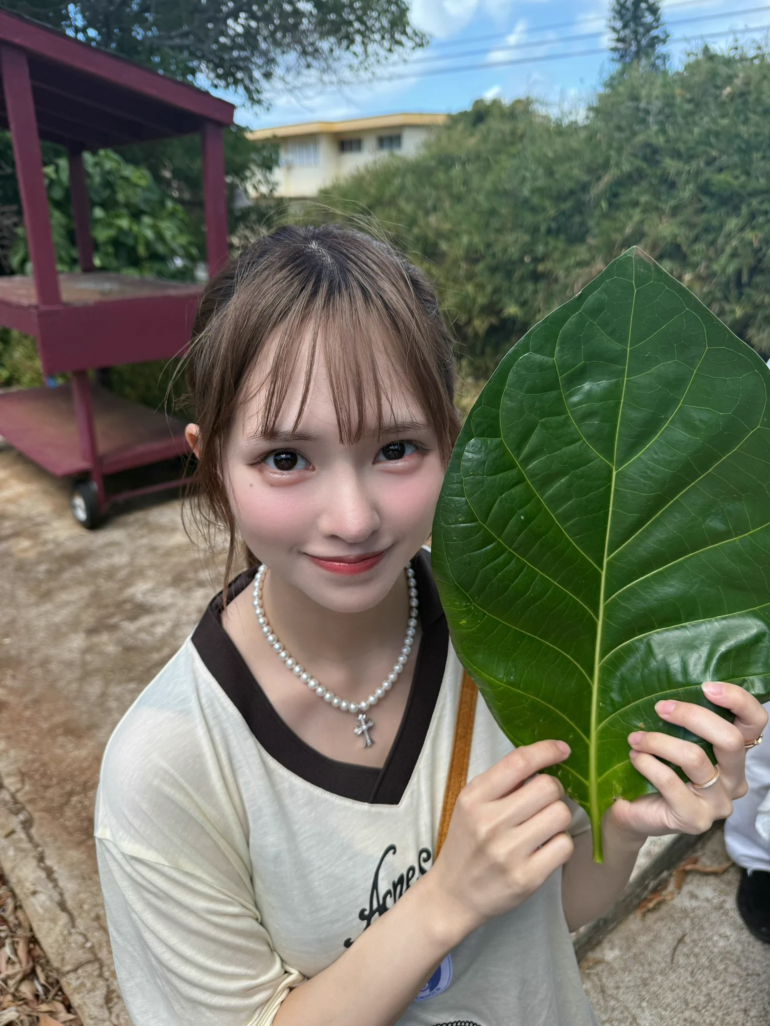 藤咲凪 on X: 