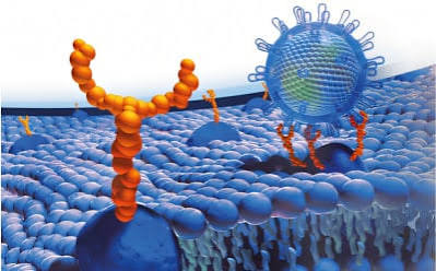 immunofighters's tweet photo. We're delighted to announce that our group has been awarded a Knowledge Generation Project funded by the Ministry of Science, Innovation and Universities! Our project will investigate the role of glycobiology in glioblastoma to identify novel therapeutic targets.🔬 #IUOPA #ISPA https://t.co/JGTBTy4mIi