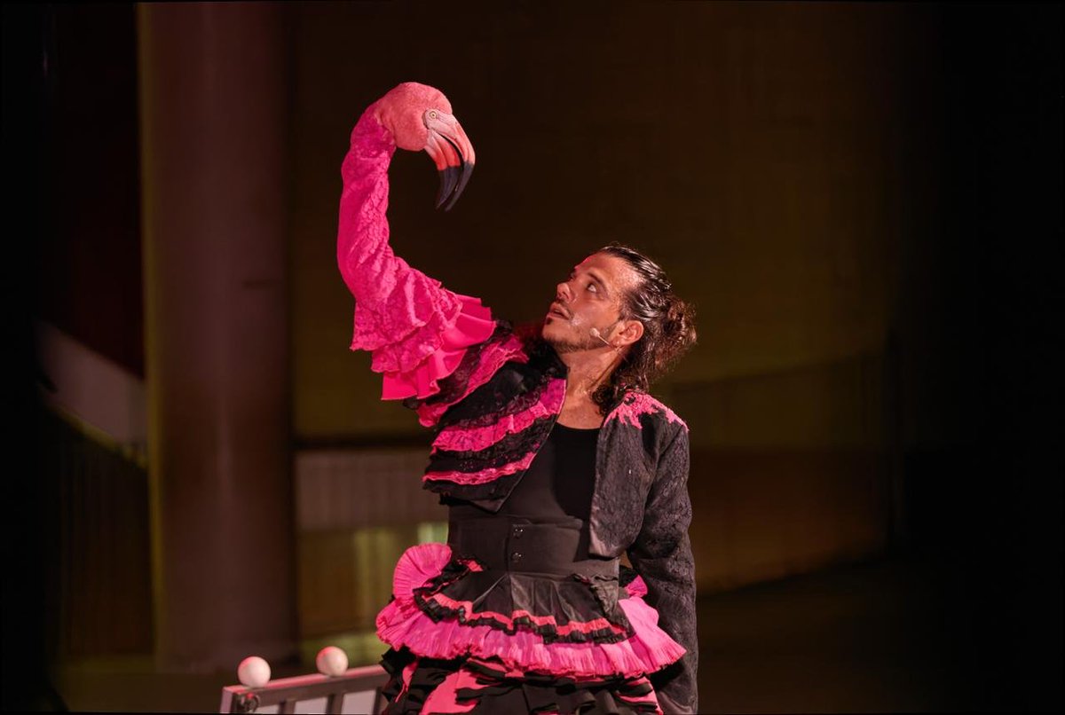 quesoni's tweet photo. ⬛ Ahir va acabar el Festival Tangent 2026 i estem molt contentes d'haver pogut treballar-hi de la mà de #RelleuCultural!

Han estat setze magnífics vespres de música, dansa, teatre i circ que han convertit l'Eixample de Barcelona en un gran escenari! https://t.co/nxsEbw8Ssl