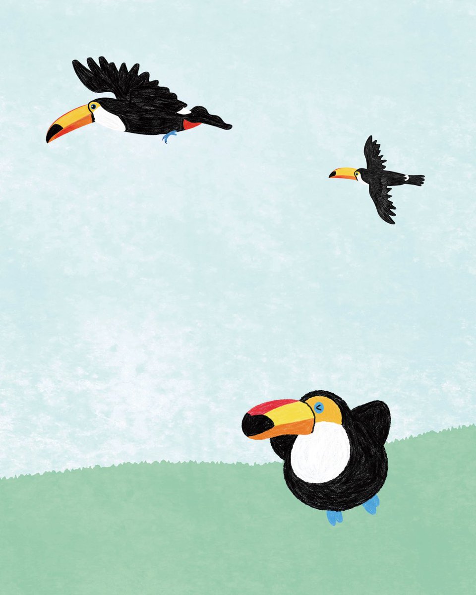 pecker_port's tweet photo. 他と比べても仕方がない。自分のペースでいいんだよ。

#オニオオハシ #toucan #ランバー https://t.co/0nL3oPHg6m