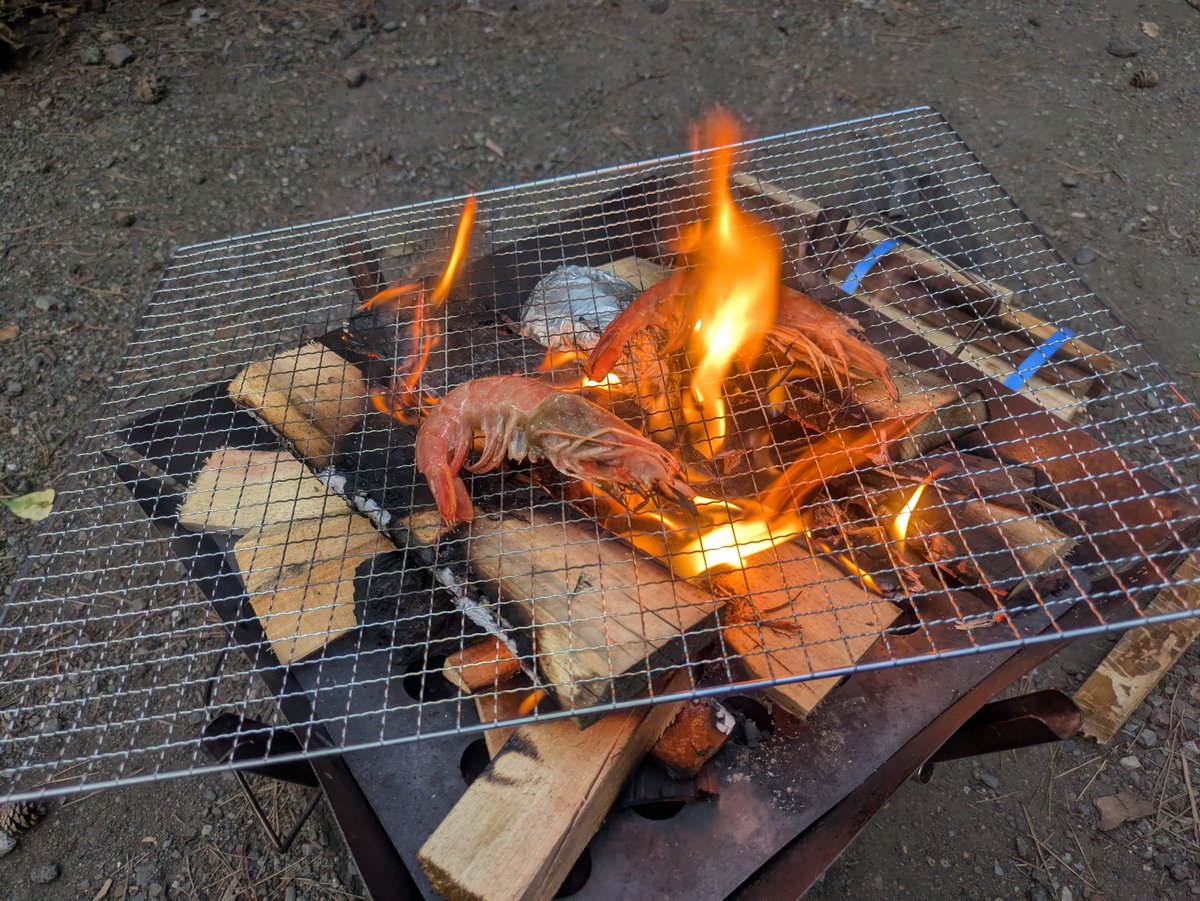 ran5121ran's tweet photo. キャンプと言ったらこれやろ!

という偏見の元、ガンガン焼いております。
デカナスをホイル焼きにしてポン酢をたらして食べるとバリ美味い! https://t.co/IVJ5lHEYUQ