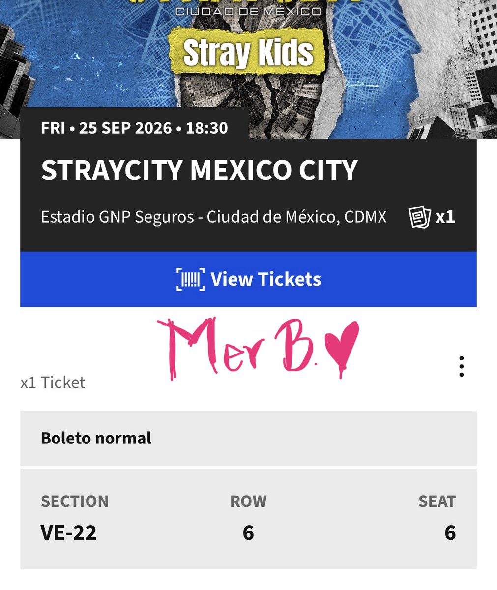 hyunimole's tweet photo. Holaaaaaa estoy vendiendo mi boleto para skz, si conocen a alguien o a ustedes les interesa, lo daré en lo que me salió, por motivos personales no podré asistir pero no quiero que se pierda el boleto y la oportunidad de alguien adentro #StrayCity #StrayKids #StrayKidsInMexico https://t.co/QIA0HnIw6Z
