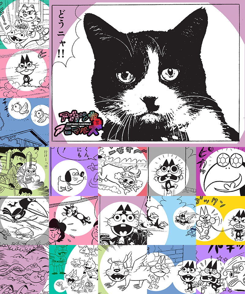 赤塚不二夫公認サイト これでいいのだ！！ (@_koredeiinoda_) / Posts / X