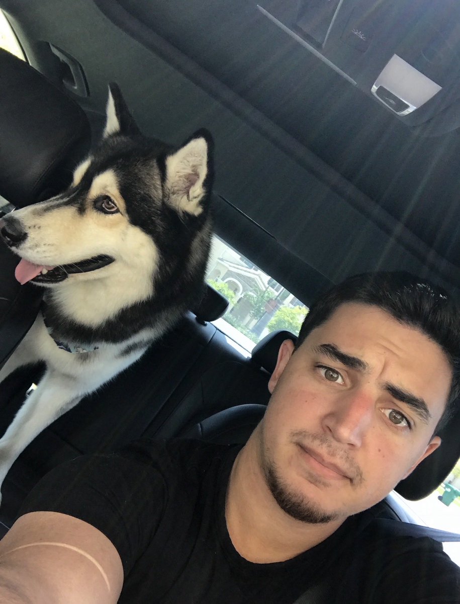 EB7's tweet photo. Today the goodest of boys joined all the other good boys in doggy heaven :(

There will never be a better boy than he was, on my best days and my worst days he was always there

I hope you enjoy doggy heaven Ace, give all your doggies a hug for ace today https://t.co/mZWS8lIqyR