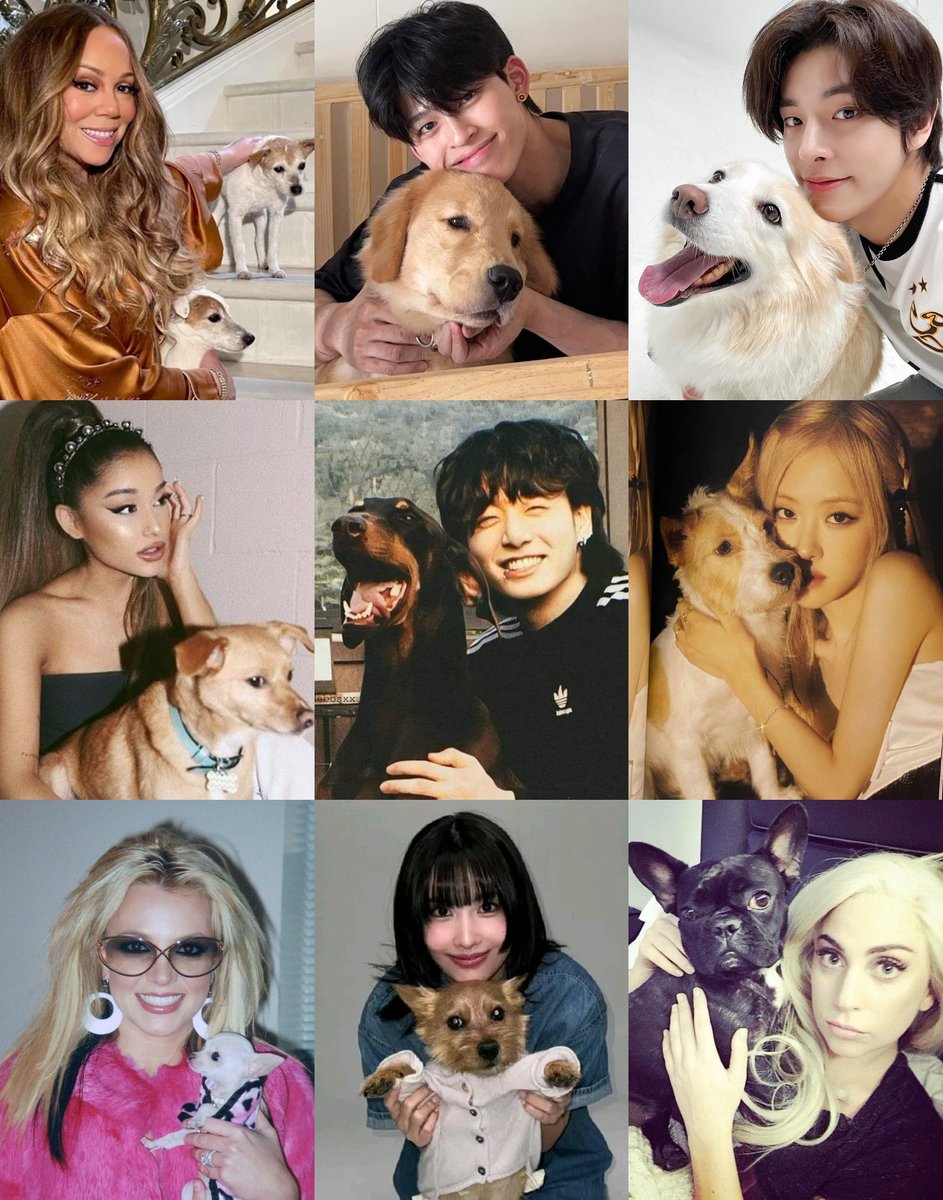 AboutMusicYT's tweet photo. Today is National Dog Day. https://t.co/mJcDi5pQPz
