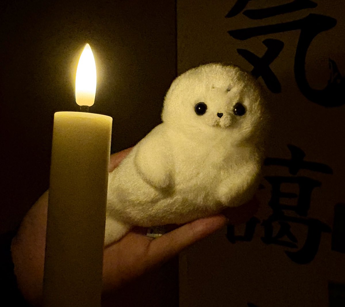 AMUSE_japan's tweet photo. 「ほ、ほんとに見たんです…！
暗闇でほわほわと白く浮かび上がる何かを……！」

#ほわほわアザラシちゃん　#夏のこわかわ撮影会 https://t.co/tVRd1EyUwg