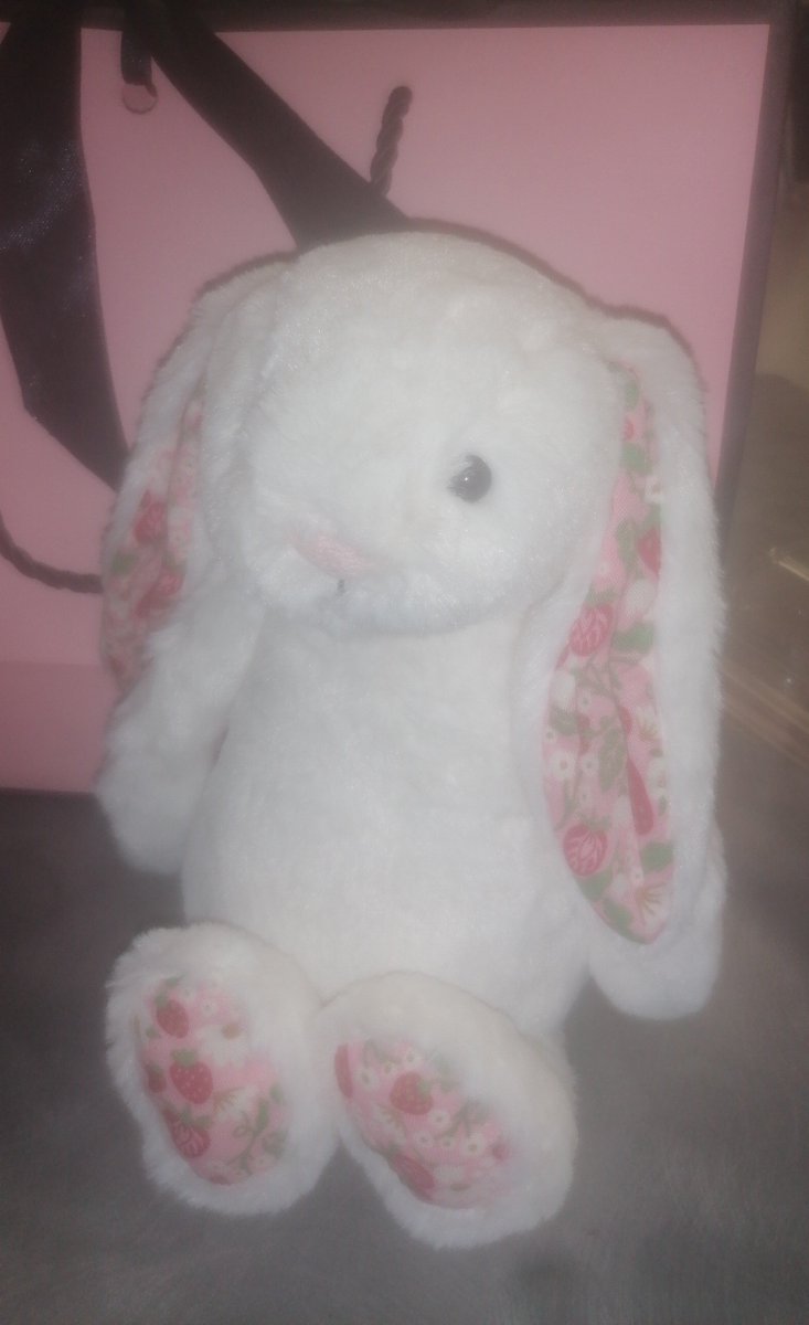 Cher_Eyes's tweet photo. My friends bought her for me for my 17th birthday! Her name is Juniper and she's basically Boycott friendly NewJeans Merch (Reminds me of a prettier Bernice~ 😏) 

#Bunny_Week
#NewJeans_4th_Anniversary
#NewJeans_Week
#NJS_D2 https://t.co/d8OH5r96Ot