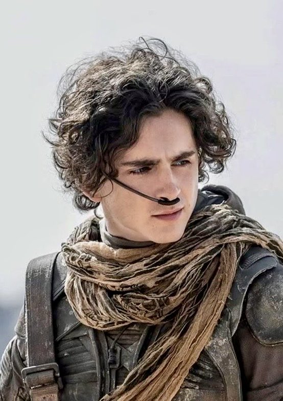 PixlPuls's tweet photo. Imagine carrying a bloodline that traces all the way back to King Agamemnon. That’s Paul Atreides. 👑⚔️ https://t.co/0nd970dVXS