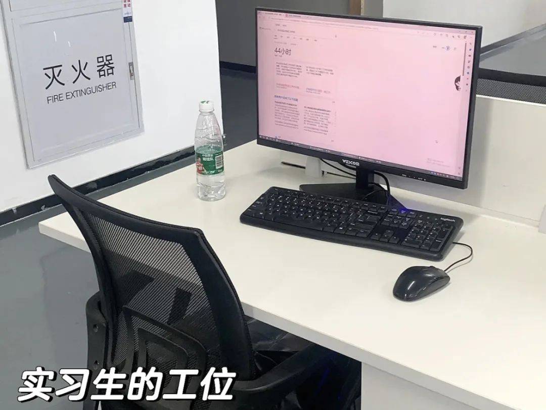 kayfray2323's tweet photo. When the boss steps out and the office Wi-Fi’s strong, mission: perfect the 10-second cat video loop. https://t.co/c33raf9mK2
