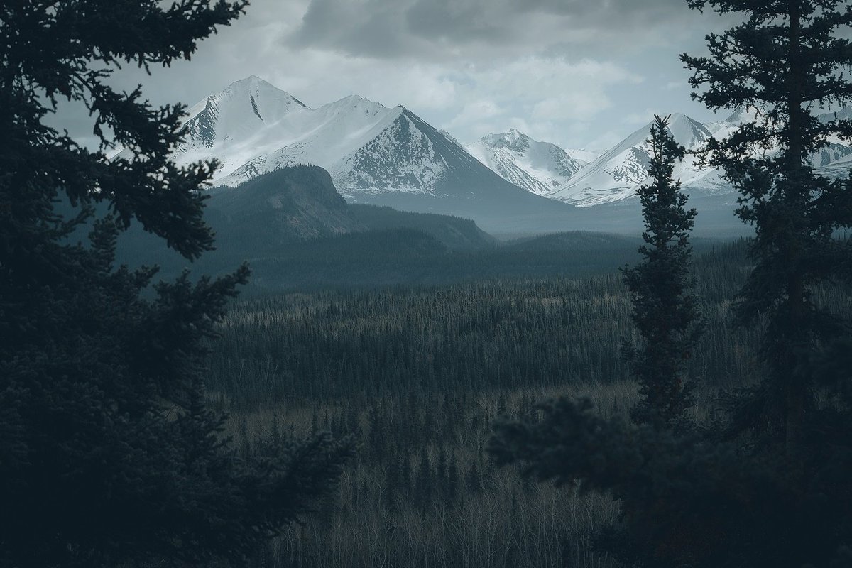 visualsofearth1's tweet photo. The untamed wilderness of Alaska https://t.co/iL1WqatOU0