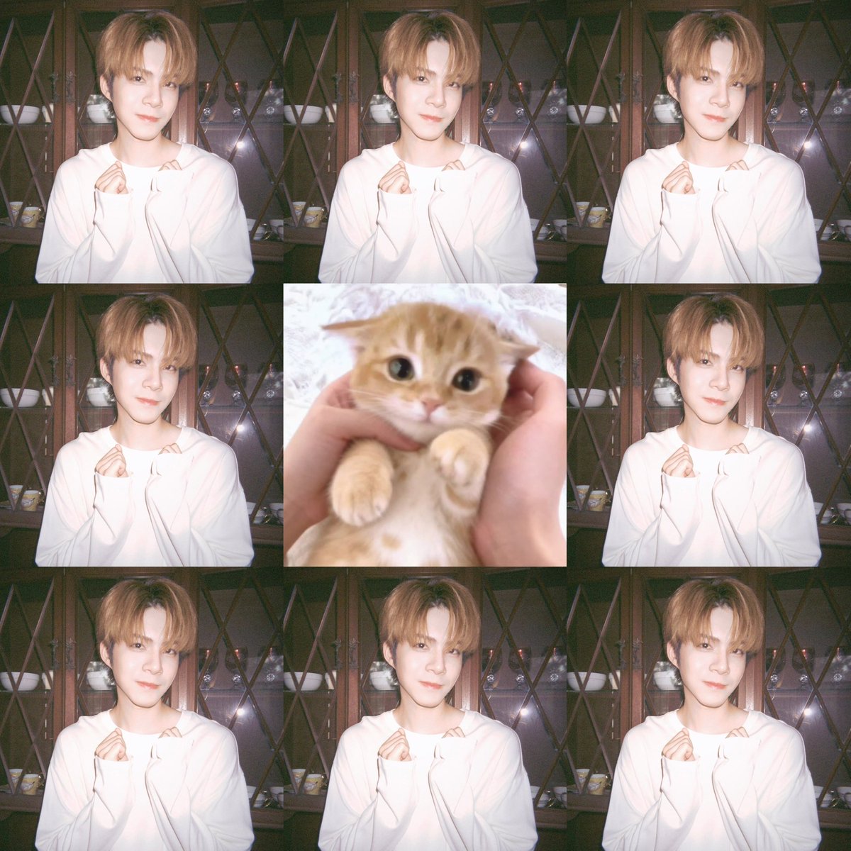 tlepaew's tweet photo. paws🐾 #jj_rcp https://t.co/4UKaOqJiuf