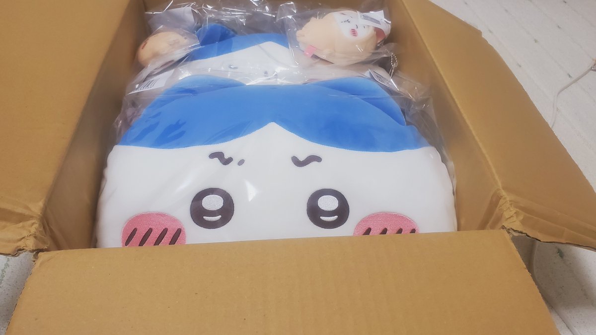 ab_X05's tweet photo. ⁉️ https://t.co/xvHbXjX0DF
