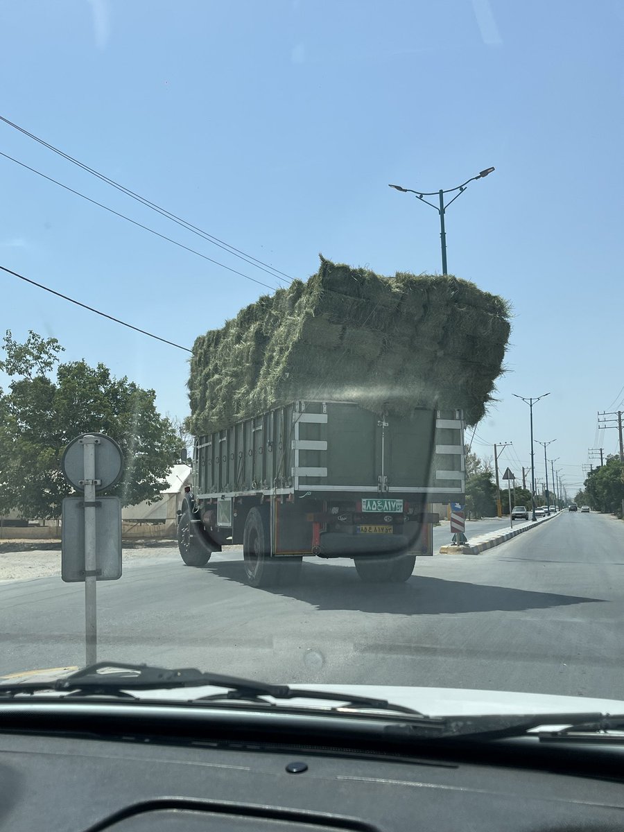 mlwdy14's tweet photo. برای ماچا دوستا https://t.co/iGtg4HHAIc
