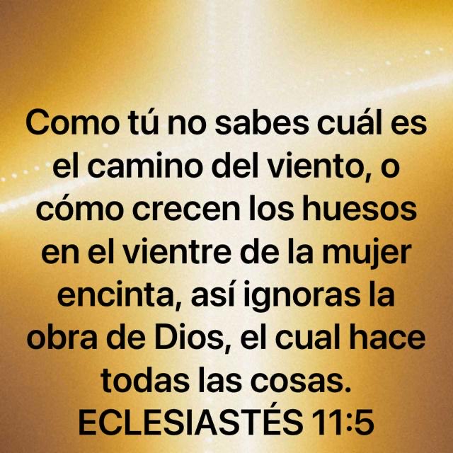 tecoservi's tweet photo. Buenos días. Que Dios te bendiga. https://t.co/Ev4GYlTv34