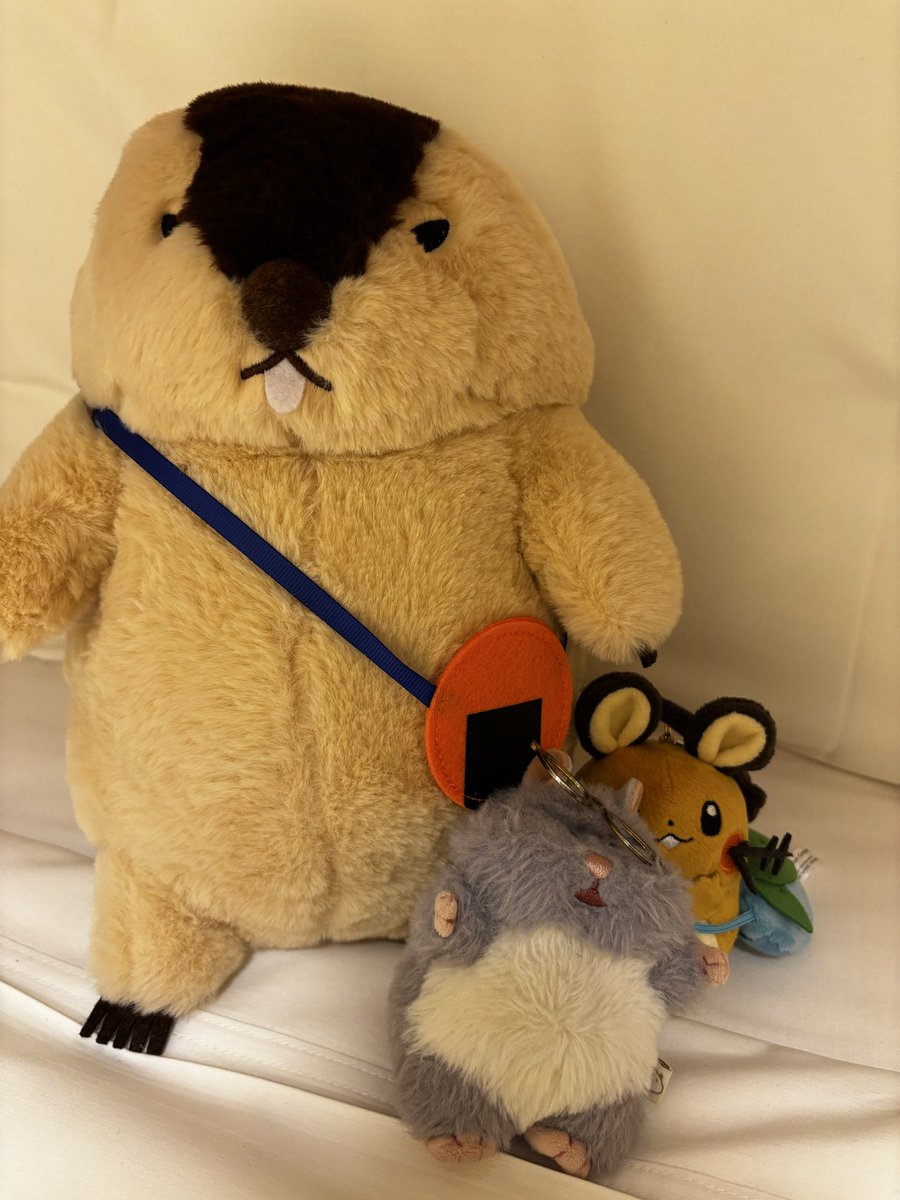 rei_ich's tweet photo. マーモットを捕まえたりデデンネを迎えたり眼鏡が取れたりする旅先 https://t.co/gavle6augT