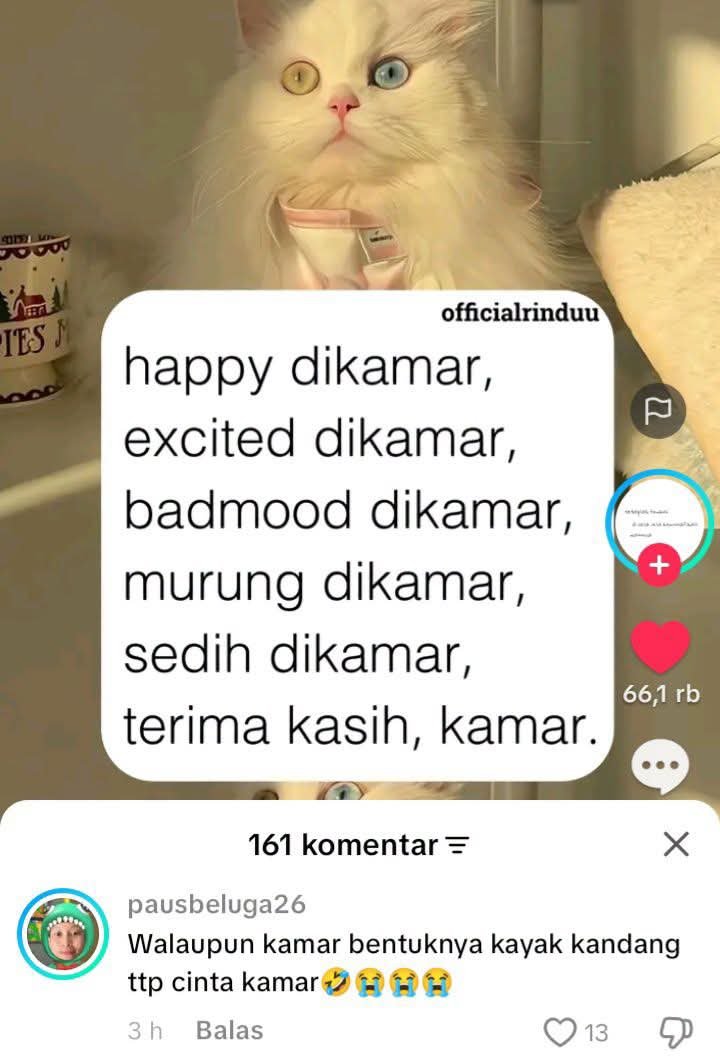 KucengTerbanggg's tweet photo. https://t.co/9Ds8PFsTQM