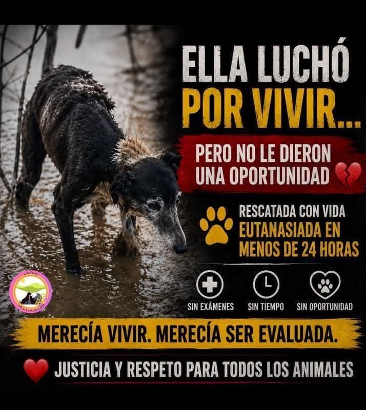 Matylo 🐾 tweet media