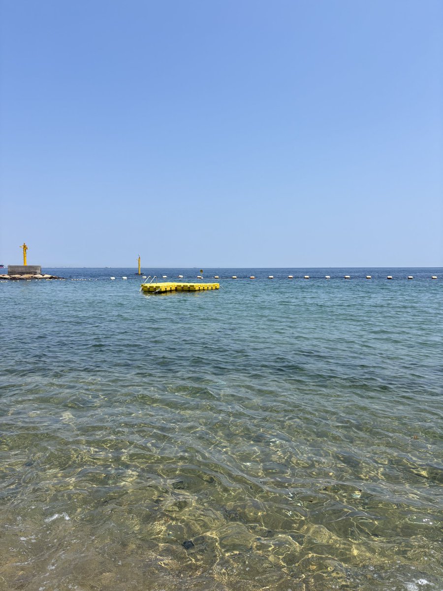 yotayy's tweet photo. 本日無事42歳になりました。

淡路島でカブトムシ触って海に入って小学生のような夏を過ごしました🏖️ https://t.co/4b6NknPQN1