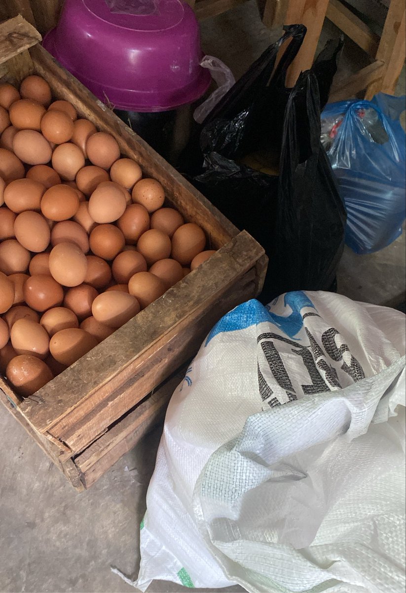 littleebite's tweet photo. lembur sampe malem, bikin bolu 100 box, roti kaya 100pcs https://t.co/lnp1z06ozb