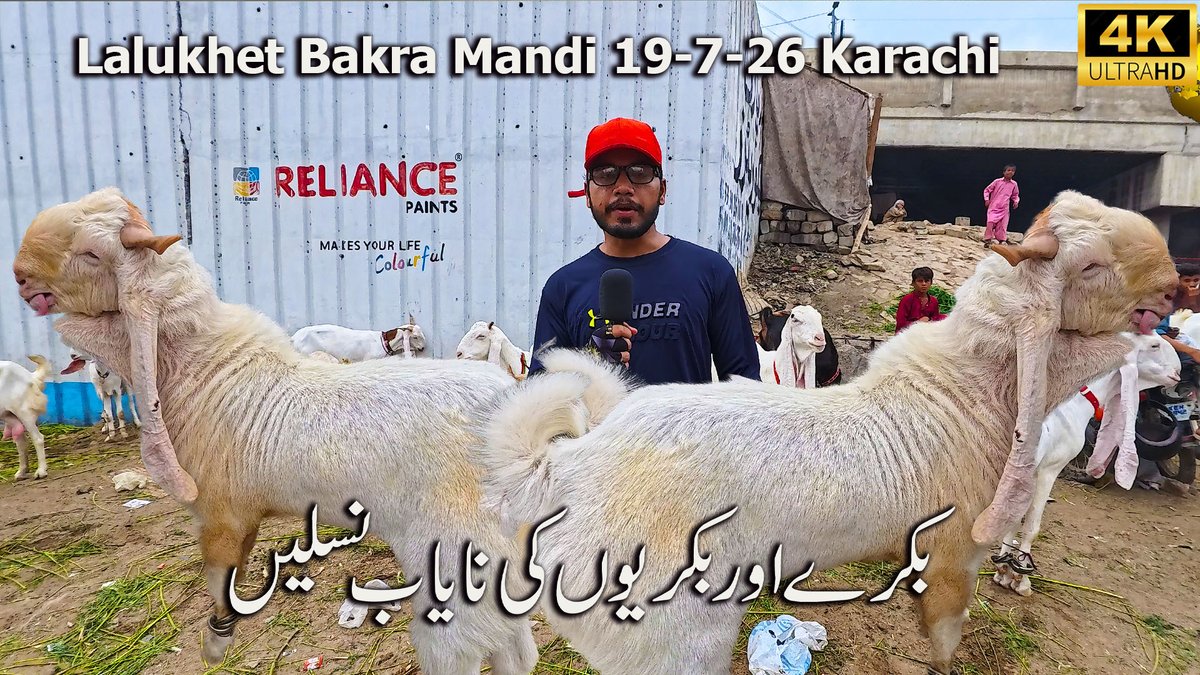 jamshedasmi's tweet photo. مکمل ویڈیوں دیکھنے کے لئے نیچے لنک پر کلک کریں
https://t.co/gSFzcmj0xg https://t.co/BvpaKrfnRD