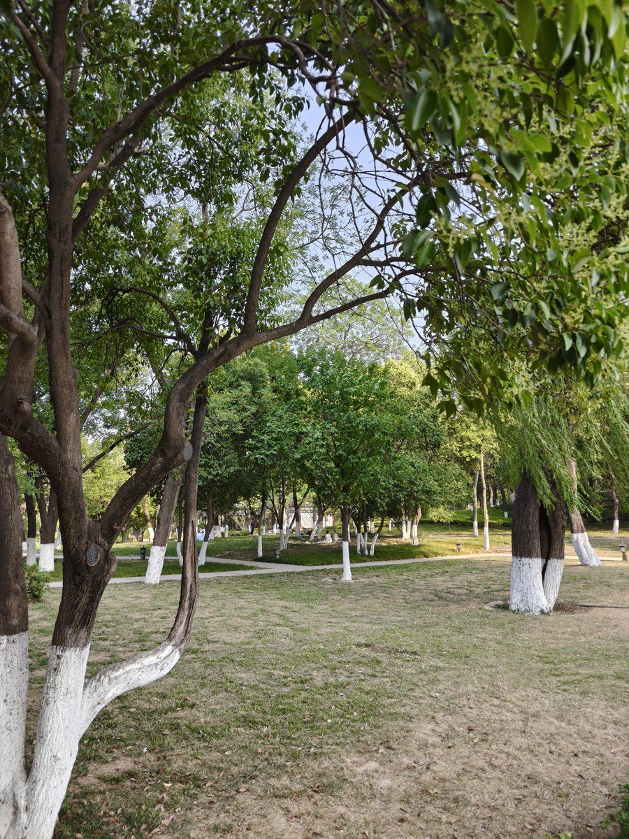 shepear613's tweet photo. Join our neighborhood cleanup this Saturday 9AM at Central Park! Gloves u0026 snacks provided – let’s spruce up our community together! https://t.co/upwPaGLXTx