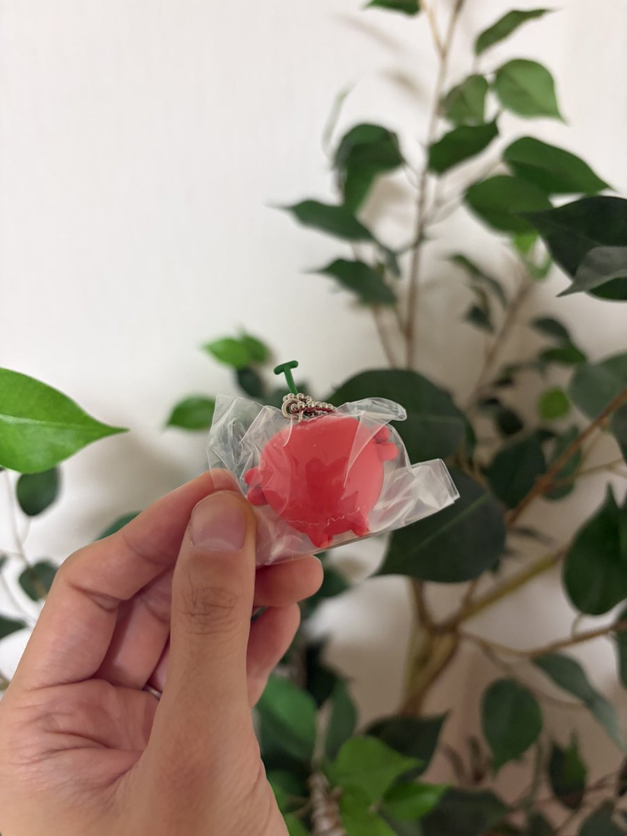 10mountain0217's tweet photo. 交換) わけあいっこマスコット

譲)たまご さくらんぼ

求)異種めじるしアクセサリー
またはガチャガチャ系
わけあいっこはお目当て出たので求めておりません🙂‍↕️
何でも前向きに検討致します。

郵送または手渡し。
返信早い方だと思います、検索からでも是非お声かけ下さい🍀 https://t.co/SMvB9zObrz