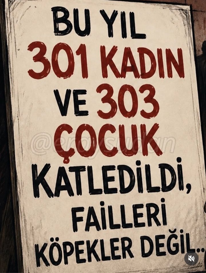 Melek Kentmen tweet media